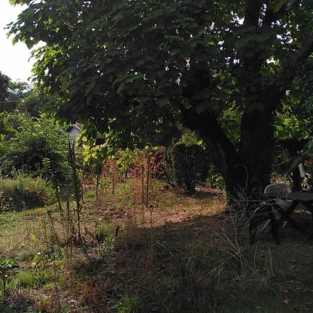 Villa Lulu Mérignac 외부 사진